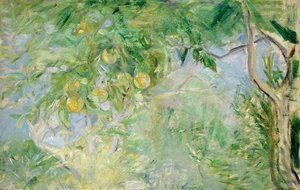 Orange Tree Branches, 1889 by Berthe Morisot